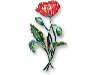 33-15-02thumb.jpg